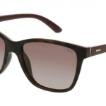 INVU  Women Sunglass , Demi/Burgundy B2214B